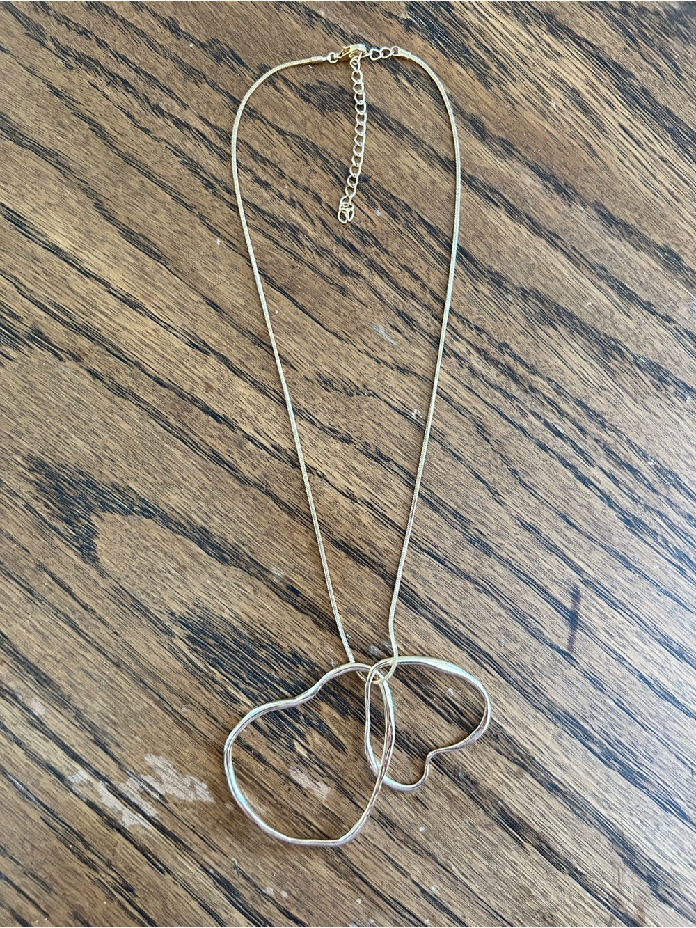 Daisy Fuentes Gold Tone Heart Pendant Necklace - NWOT